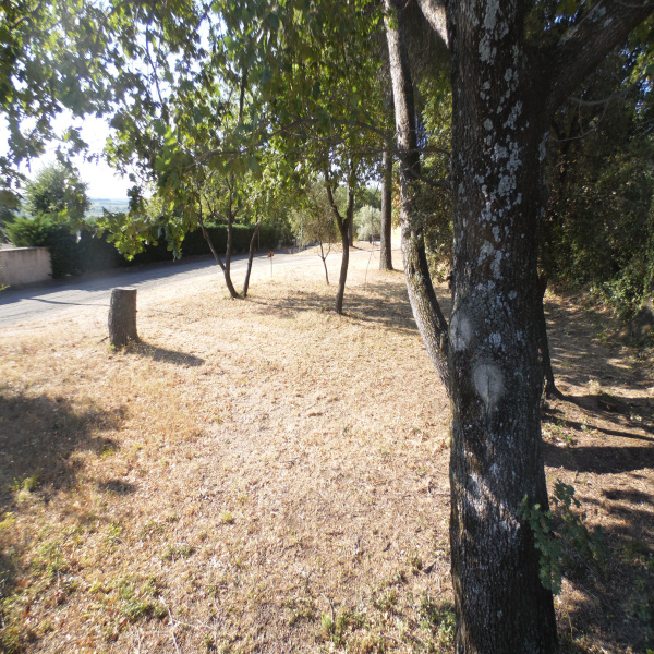 Offres de vente Terrain Laudun 30290