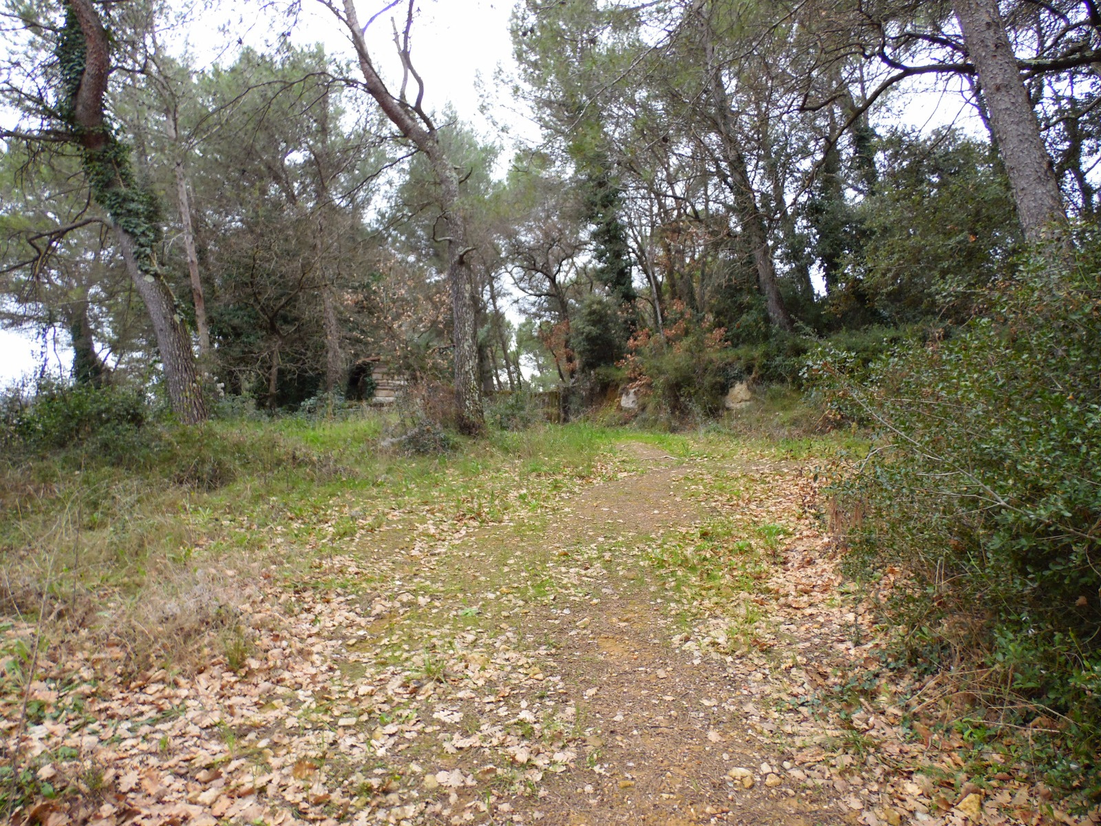 Offres de vente Terrain Laudun 30290